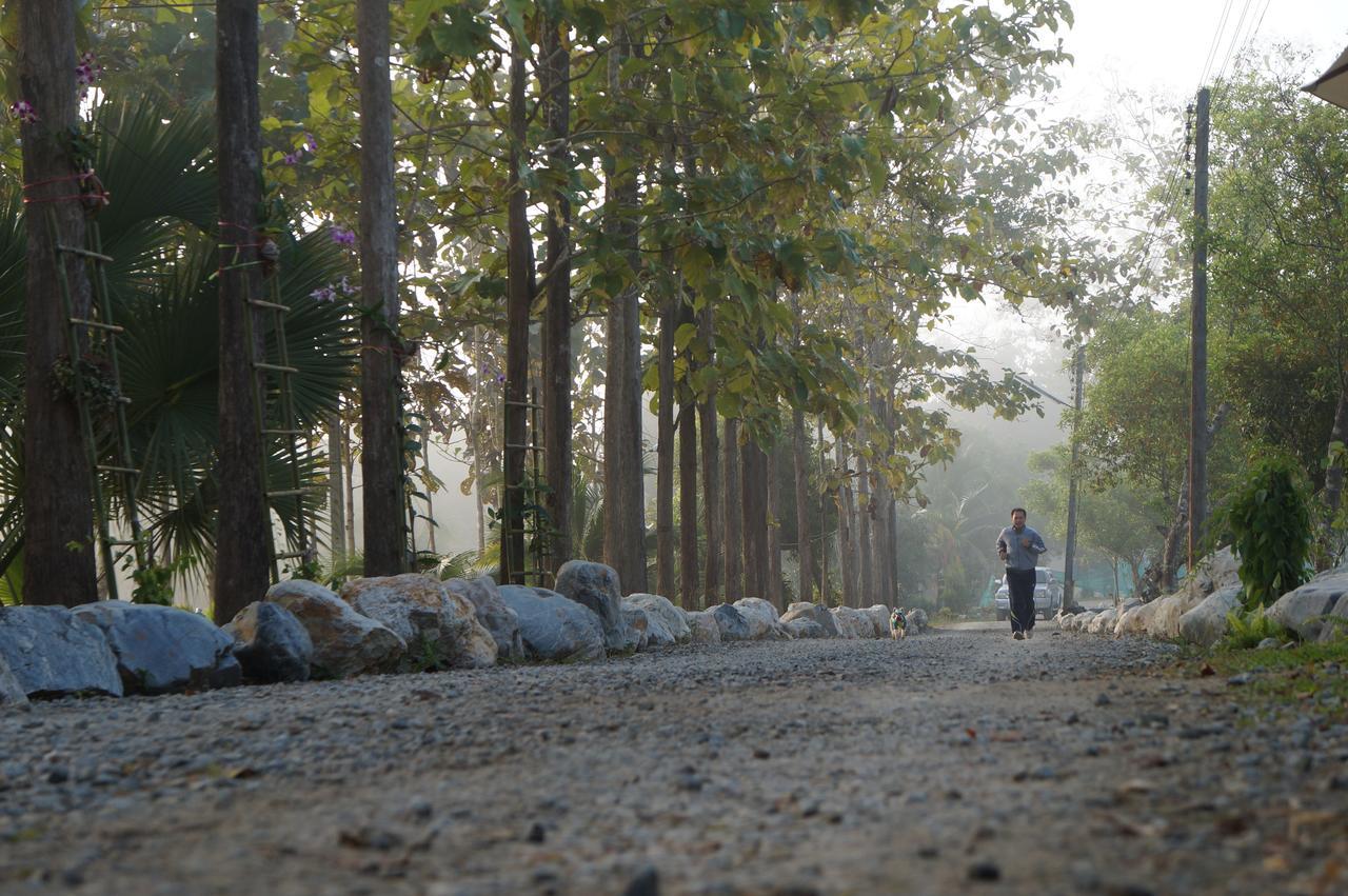 The Teak Resort Chiangdao Chiang Dao Dış mekan fotoğraf