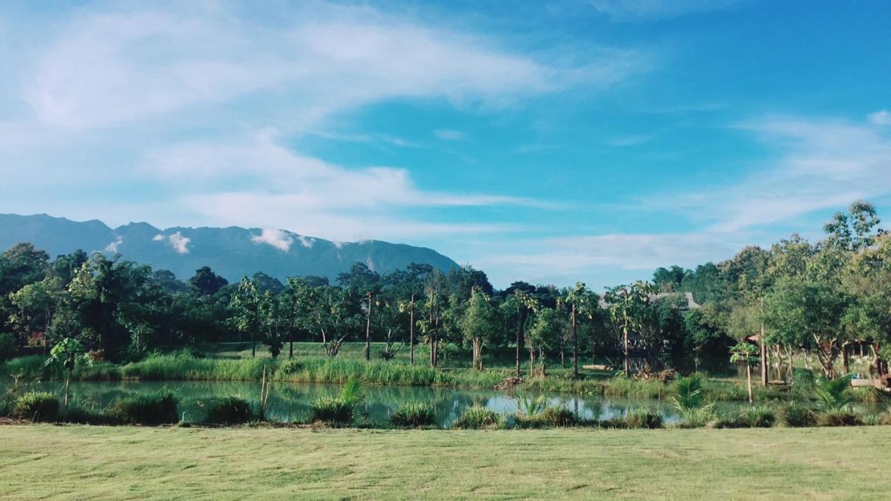 The Teak Resort Chiangdao Chiang Dao Dış mekan fotoğraf