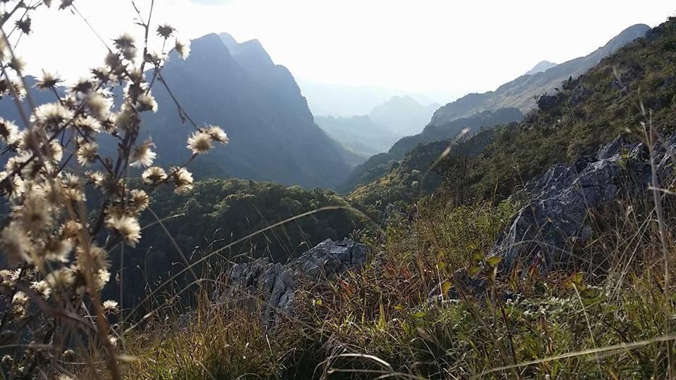 The Teak Resort Chiangdao Chiang Dao Dış mekan fotoğraf